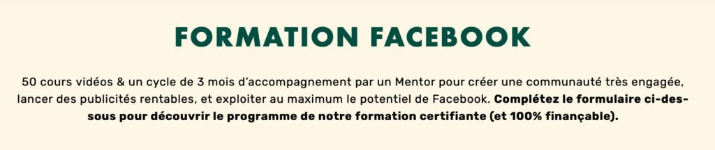 formation livementor facebook