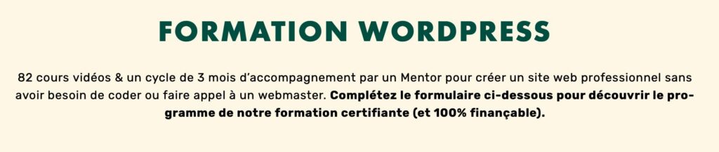 formation livementor wordpress