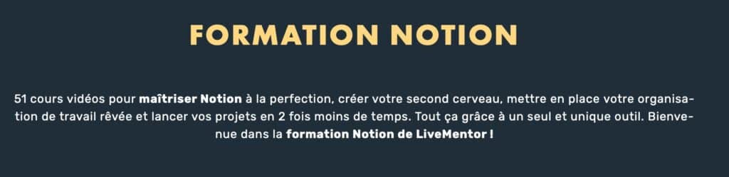 formation notion livementor