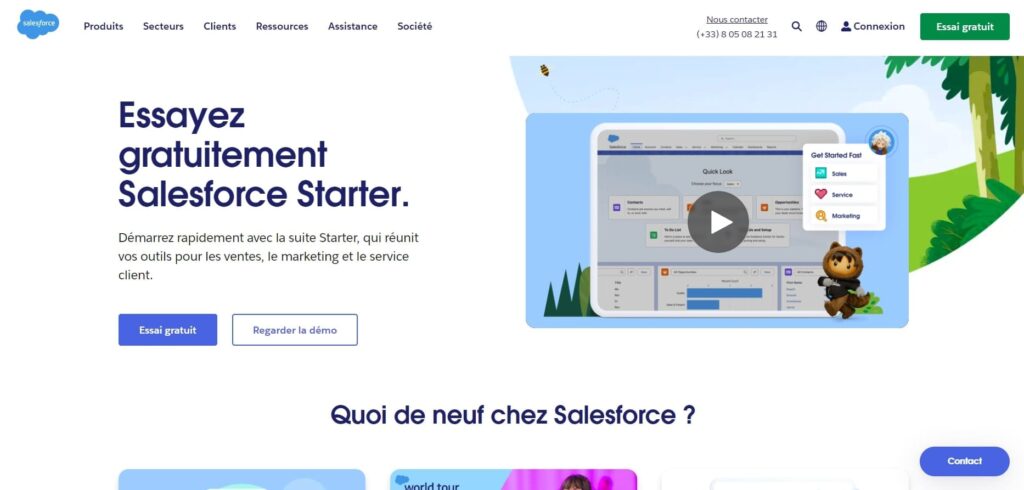 interface salesforce