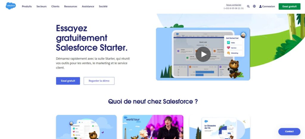 interface salesforce