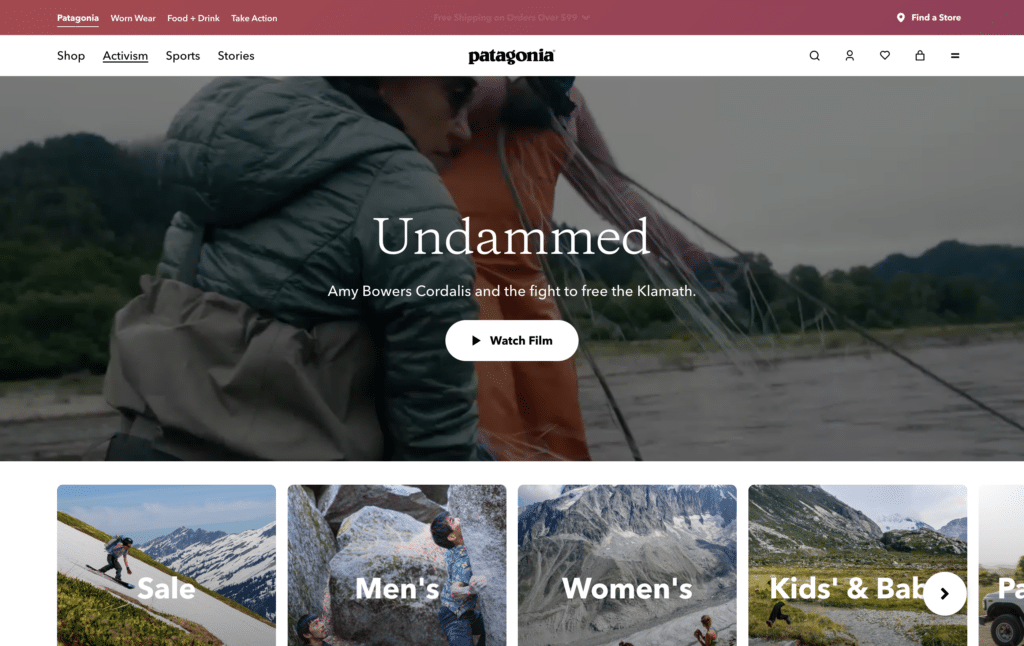 patagonia posionnement marque marketing