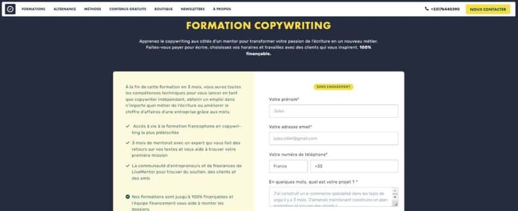 interface formation livementor copywriting