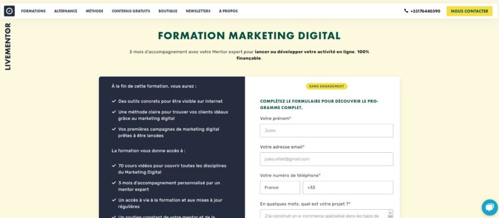 interface formation livementor marketing digital