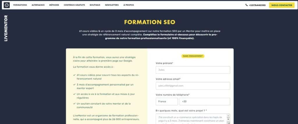 interface formation livementor seo