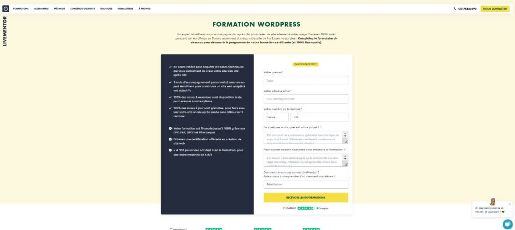 interface livementor wordpress