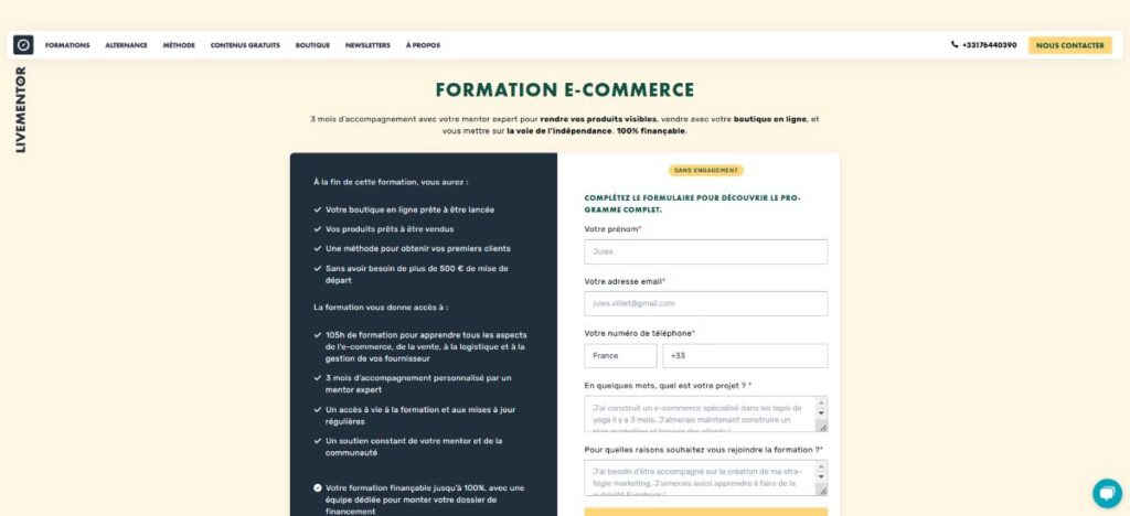 interface livementor e commerce