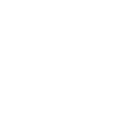 no limits logo
