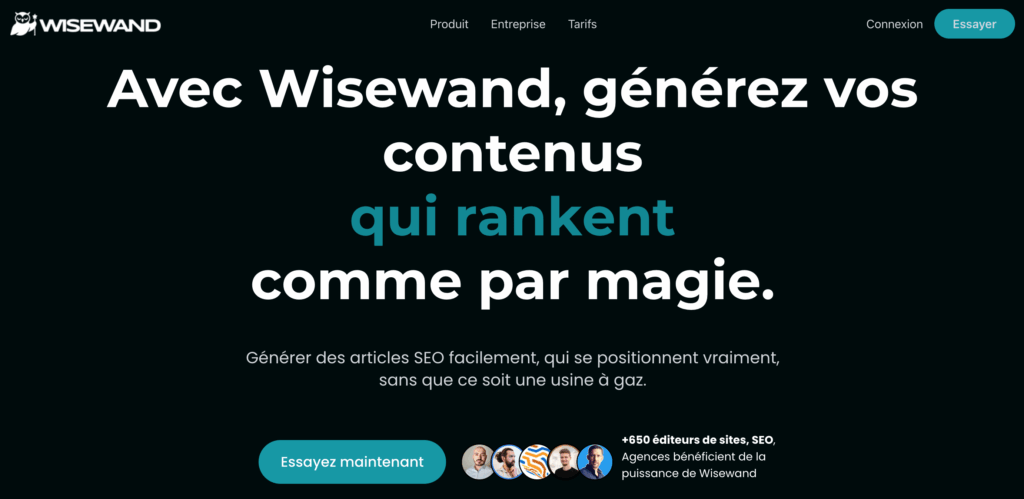 services wisewand